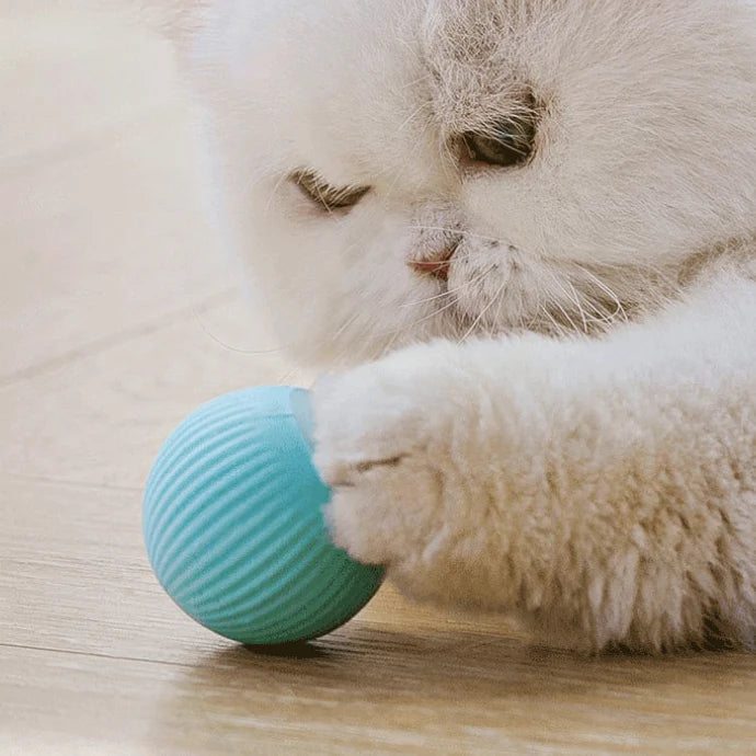 Cat Catch - Pelota inteligente para mascotas